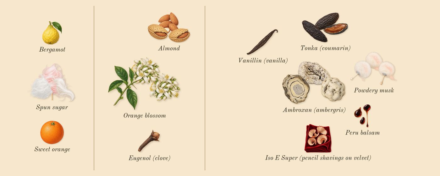 Powder Love’s scent picture, a draft: spun sugar, almond, orange blossom, tonka (coumarin), ambroxan (ambergris), powdery musk drawn so far; dashed outlines where nothing is drawn yet