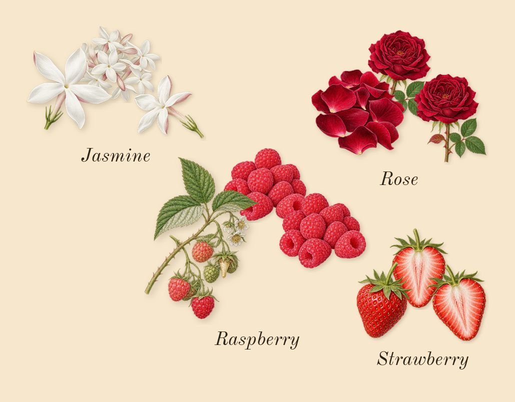 Eden Juicy Apple 01, heart: Strawberry, Raspberry, Jasmine, Rose