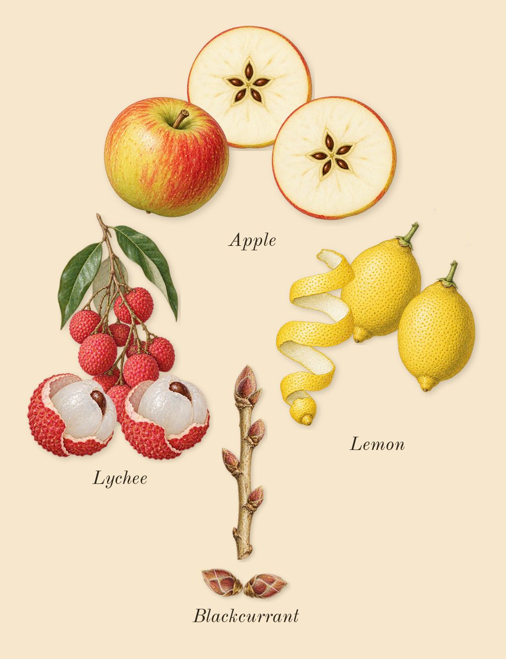 Eden Sparkling Lychee 39, top notes: Blackcurrant, Lemon, Lychee, Apple
