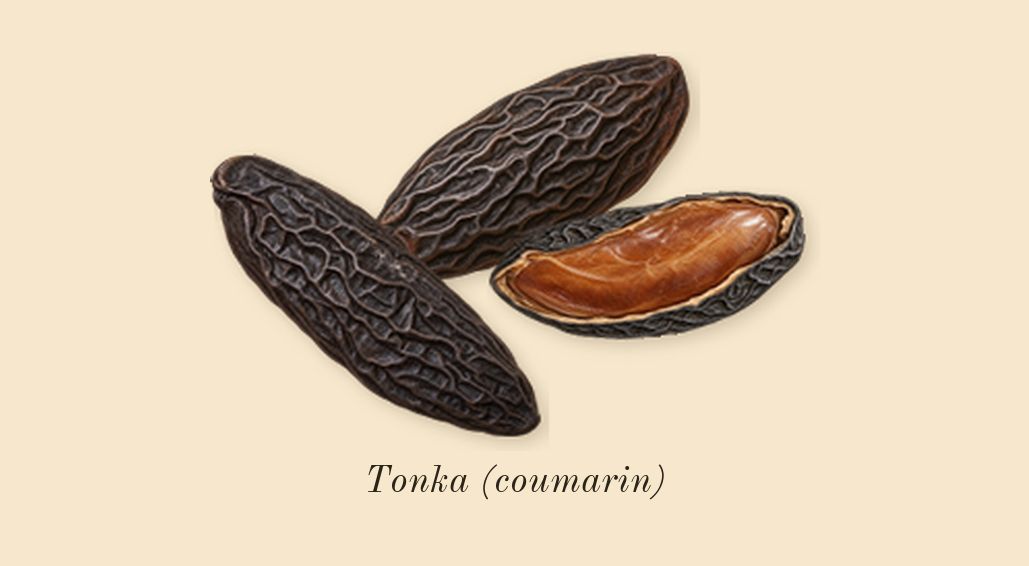 Vanilla 28, heart: Tonka (coumarin)
