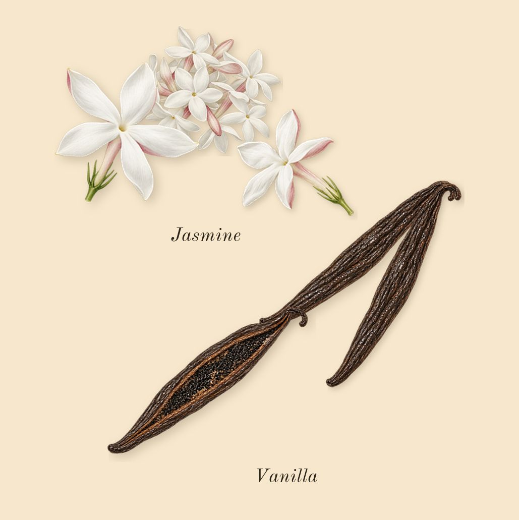 Vanilla 28, top notes: Vanilla, Jasmine