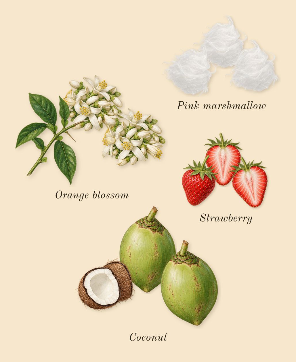 Yum Boujee Marshmallow 81, heart: Pink marshmallow, Strawberry, Coconut, Orange blossom