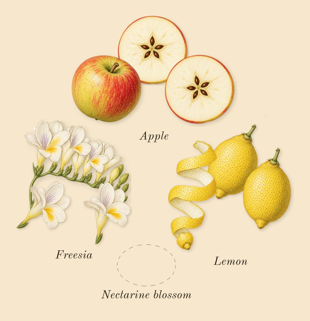 Yum Boujee Marshmallow 81, top notes: Apple, Nectarine blossom, Freesia, Lemon