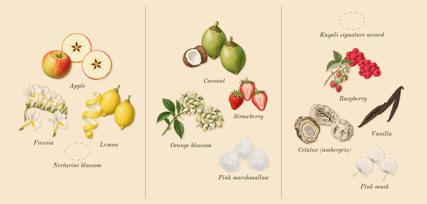 Yum Boujee Marshmallow 81’s scent picture, a draft: apple, freesia, lemon, pink marshmallow, strawberry, coconut drawn so far; dashed outlines where nothing is drawn yet