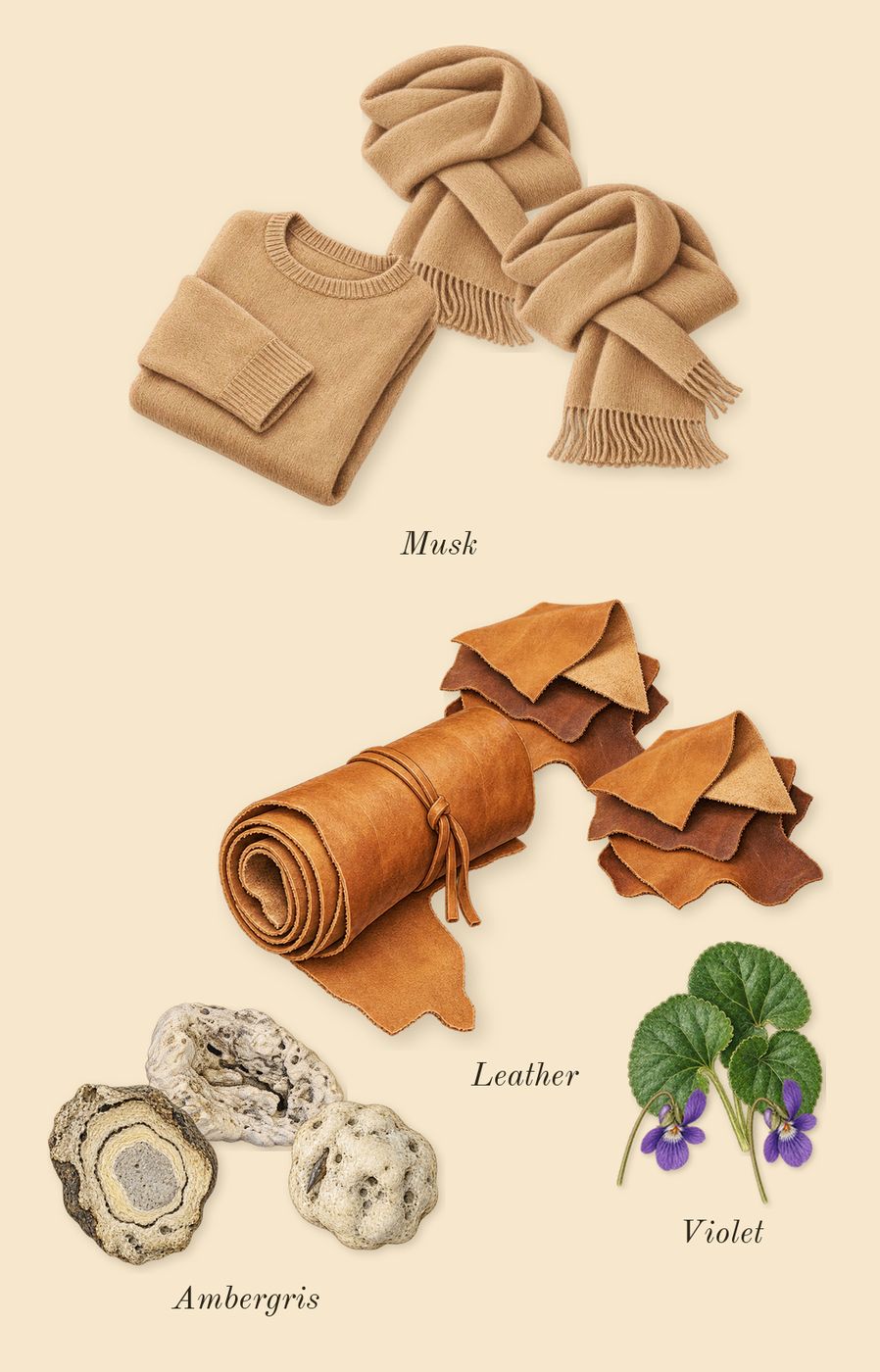 Black For Him, dry-down: Musk, Violet, Leather, Ambergris