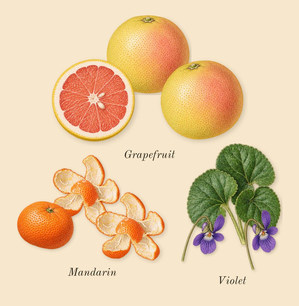Reaction For Her, top notes: Grapefruit, Mandarin, Violet