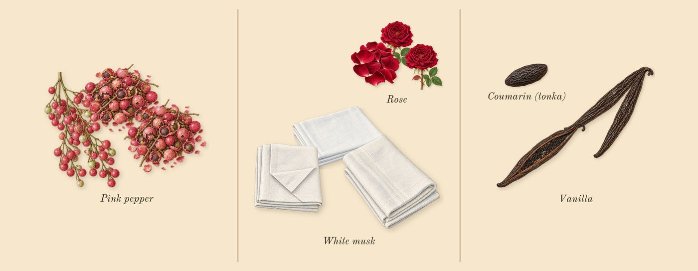 Flower by Kenzo’s scent picture, a draft: pink pepper, rose, vanilla, white musk, coumarin (tonka) drawn so far; dashed outlines where nothing is drawn yet