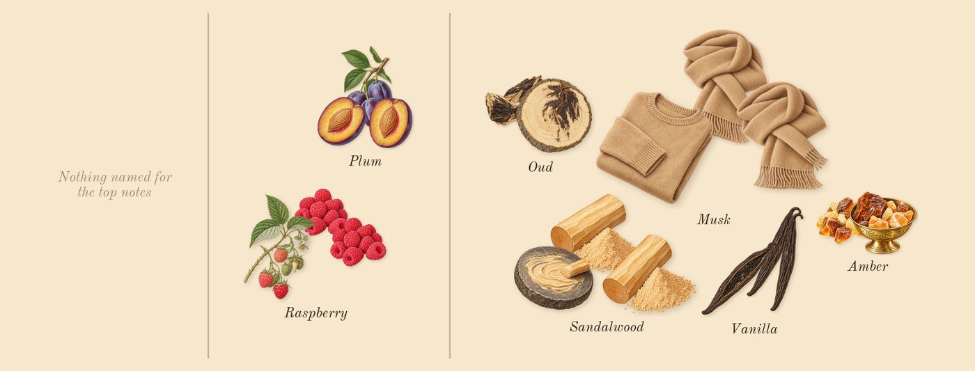 Blackmail’s scent picture, a draft: raspberry, plum, vanilla, sandalwood, oud, amber drawn so far; dashed outlines where nothing is drawn yet