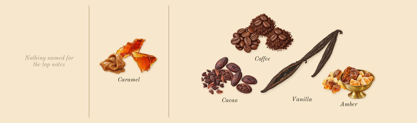 Followed’s scent picture, a draft: coffee, caramel, vanilla, cacao, amber drawn so far; dashed outlines where nothing is drawn yet