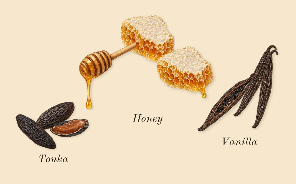 Unknown Pleasures, dry-down: Honey, Tonka, Vanilla