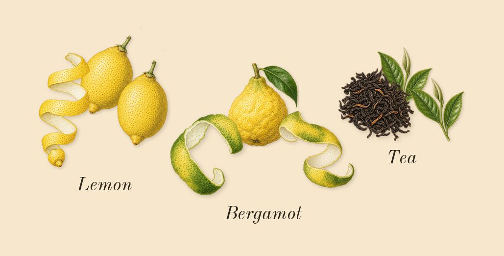 Unknown Pleasures, top notes: Tea, Lemon, Bergamot