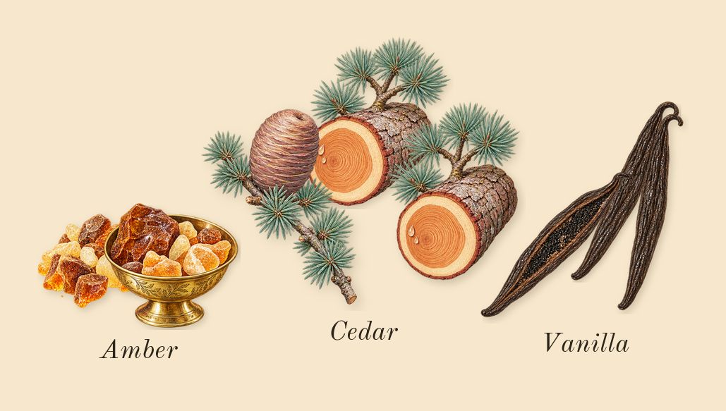 Rose Couture, dry-down: Cedar, Vanilla, Amber