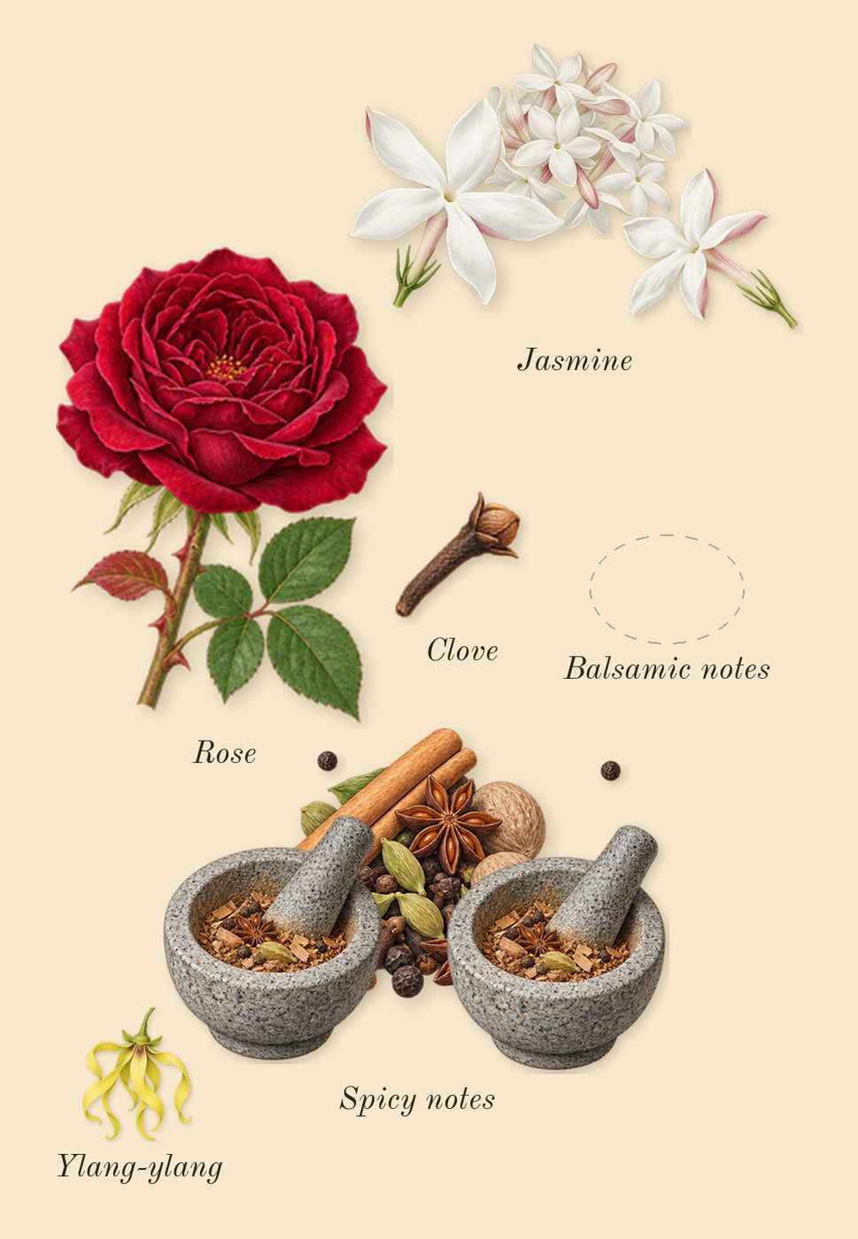 Shiyaaka for Men, heart: Balsamic notes, Spicy notes, Jasmine, Ylang-ylang, Clove, Rose