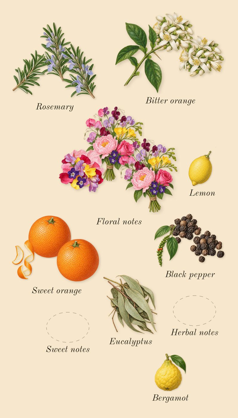 Shiyaaka for Men, top notes: Floral notes, Sweet orange, Herbal notes, Sweet notes, Bitter orange, Rosemary, Black pepper, Bergamot, Lemon, Eucalyptus