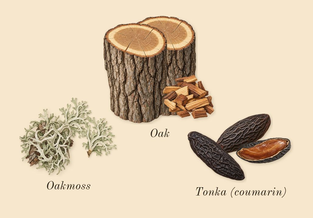 Angels' Share Paradis, dry-down: Tonka (coumarin), Oak, Oakmoss
