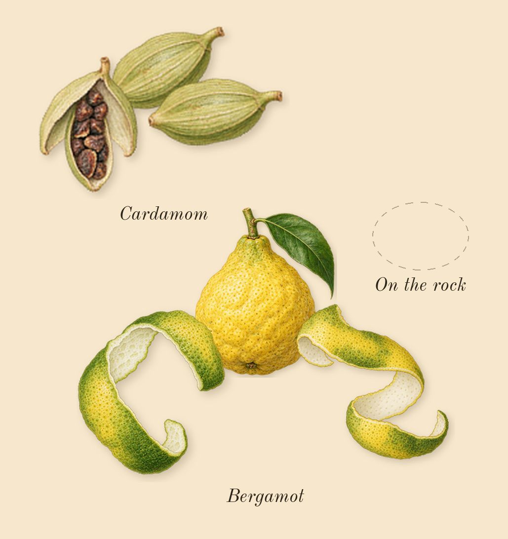 Apple Brandy on the Rocks, top notes: On the rock, Bergamot, Cardamom