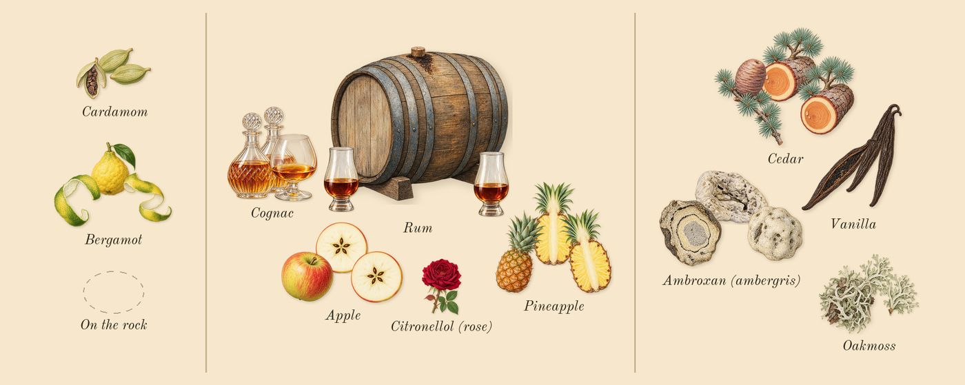 Apple Brandy on the Rocks’s scent picture, a draft: apple, cognac, oakmoss, vanilla, bergamot, pineapple drawn so far; dashed outlines where nothing is drawn yet