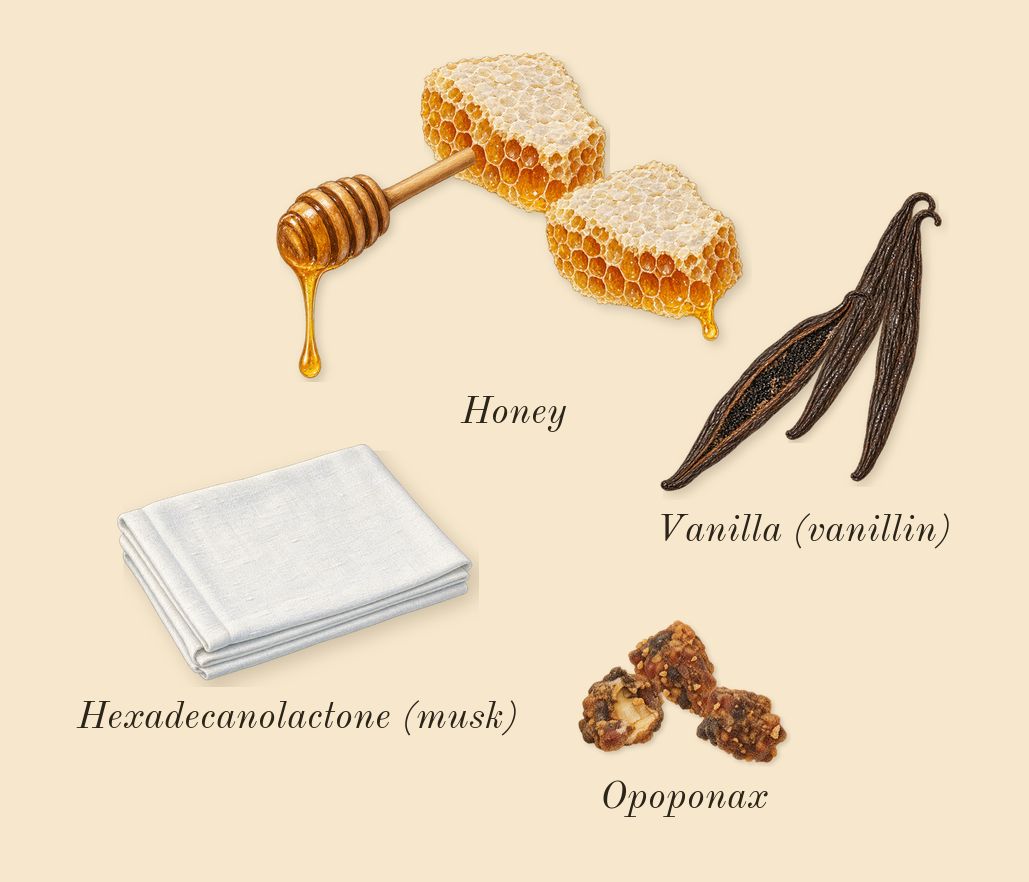 Forbidden Games, dry-down: Honey, Vanilla (vanillin), Opoponax, Hexadecanolactone (musk)