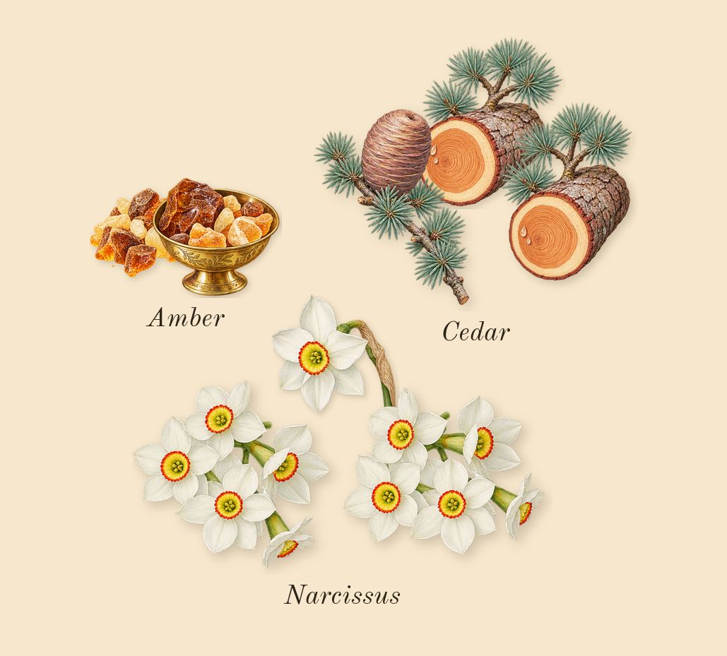 Good Girl Gone Bad, dry-down: Narcissus, Cedar, Amber