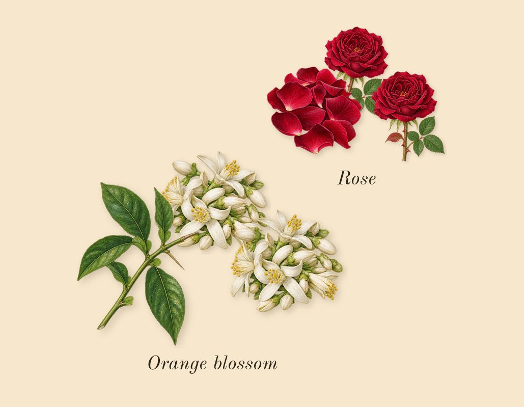 Good Girl Gone Bad, top notes: Orange blossom, Rose