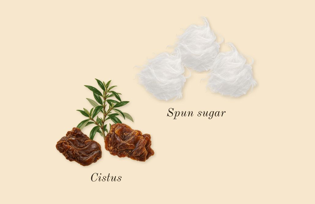 Love, Don't Be Shy, dry-down: Spun sugar, Cistus