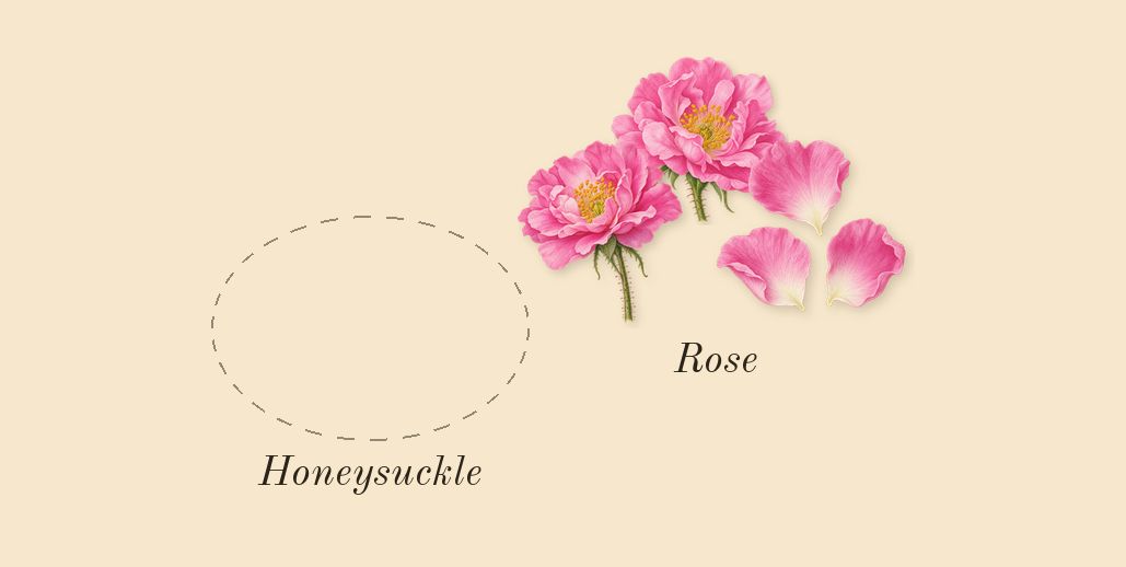 Love, Don't Be Shy, heart: Rose, Honeysuckle