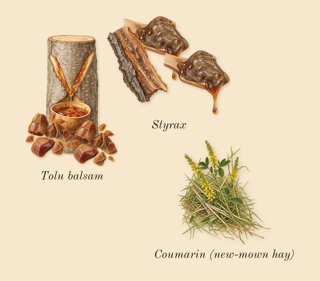 Old Fashioned, dry-down: Styrax, Tolu balsam, Coumarin (new-mown hay)