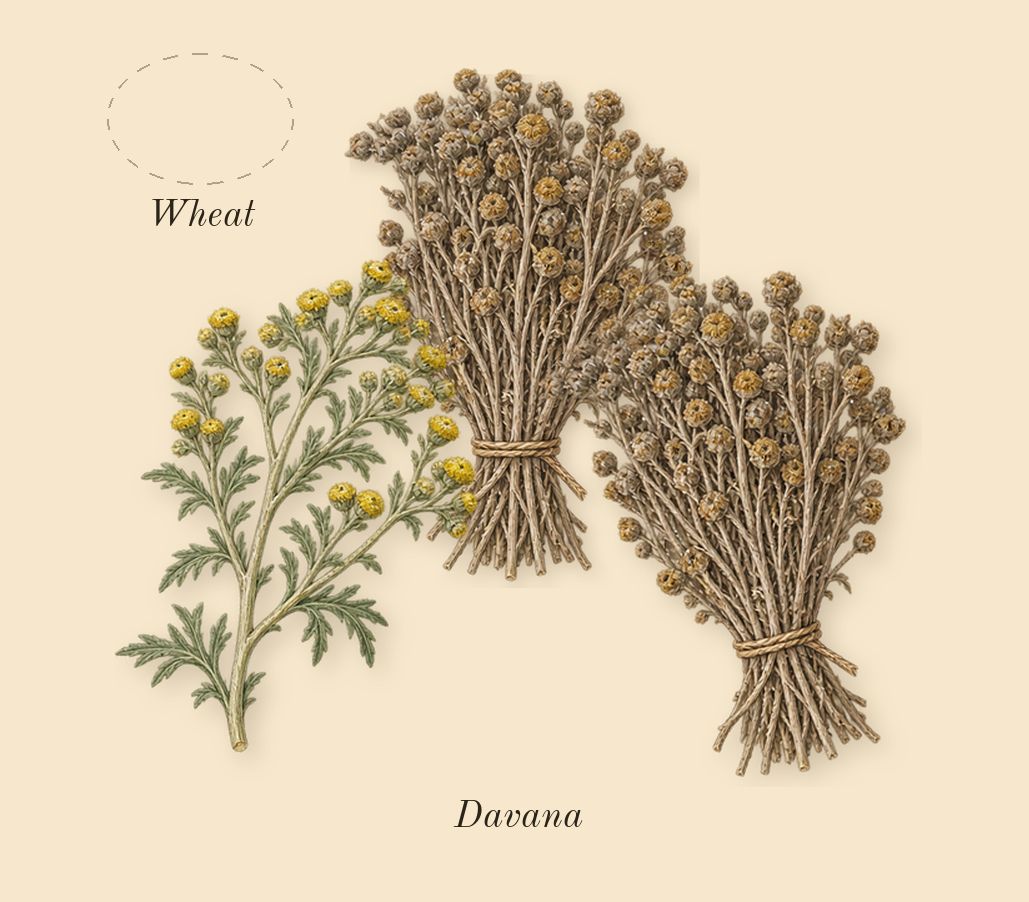 Old Fashioned, top notes: Wheat, Davana