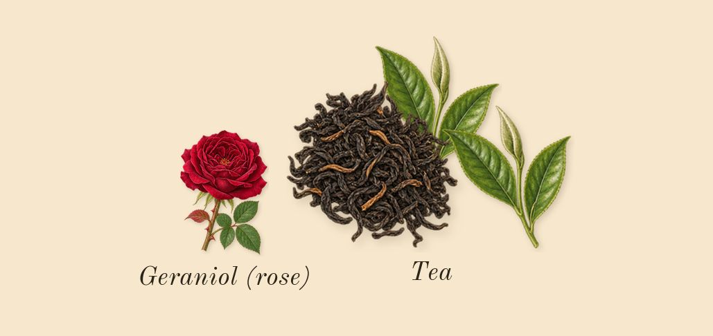 Princess, heart: Tea, Geraniol (rose)