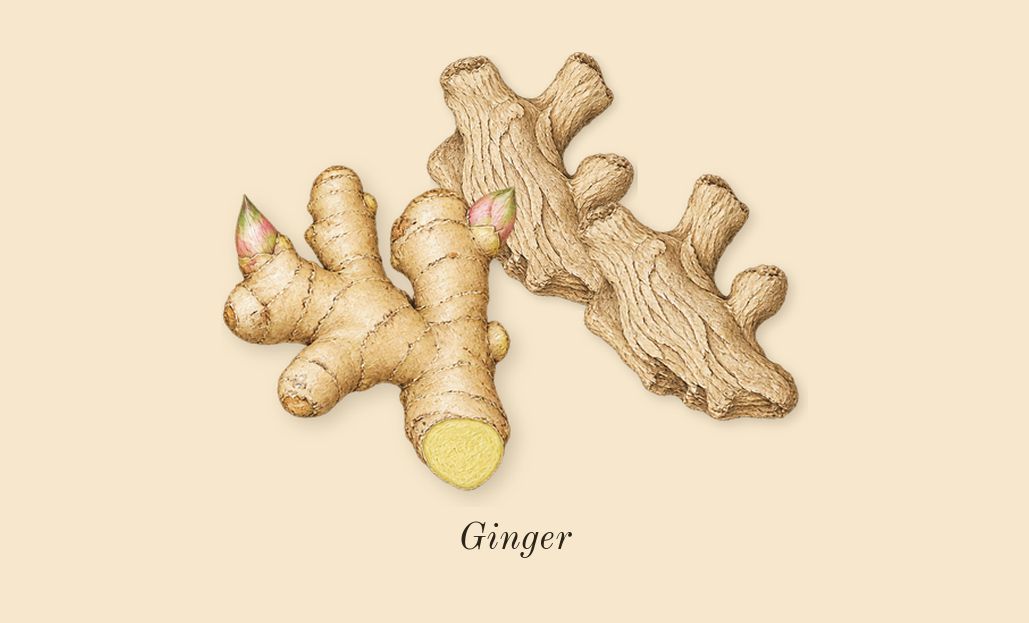 Princess, top notes: Ginger