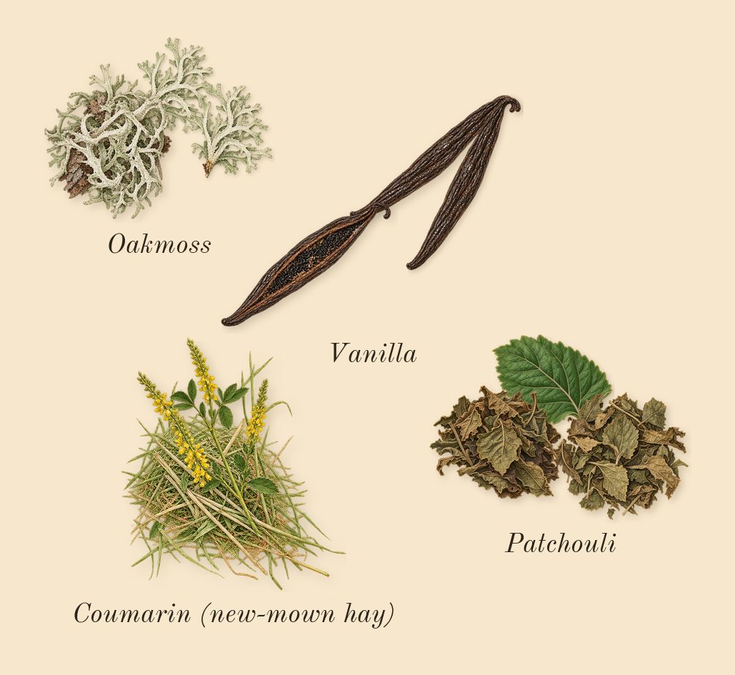 Smoking Hot, dry-down: Vanilla, Patchouli, Oakmoss, Coumarin (new-mown hay)