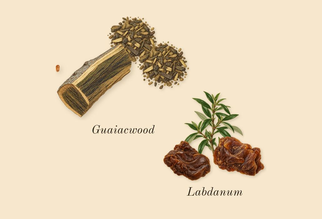 Sunkissed Goddess, dry-down: Guaiacwood, Labdanum