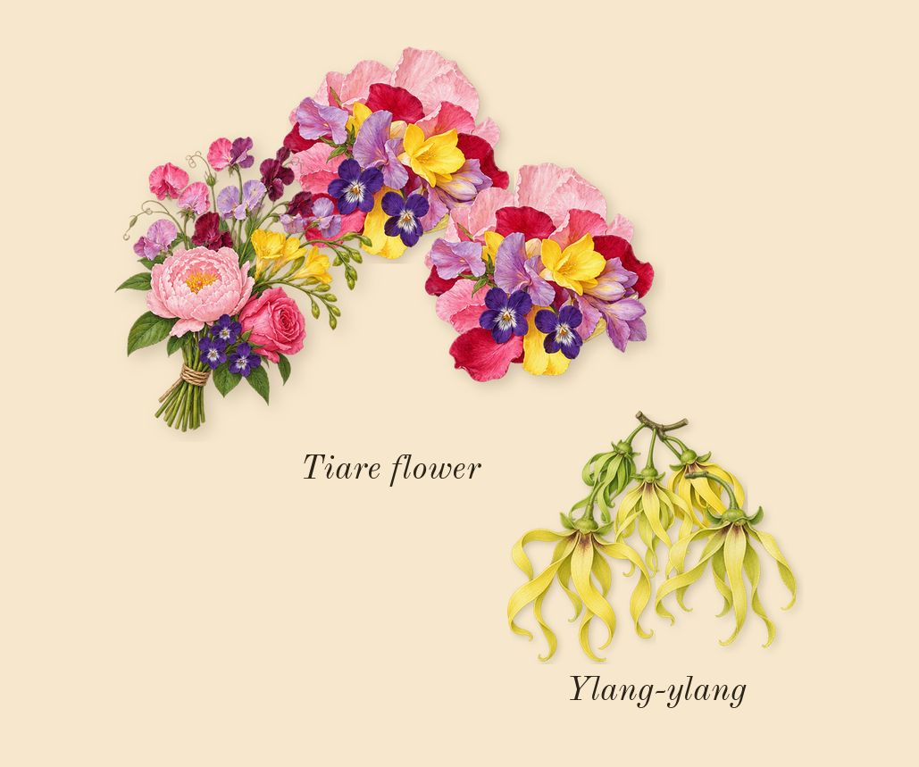 Sunkissed Goddess, top notes: Ylang-ylang, Tiare flower