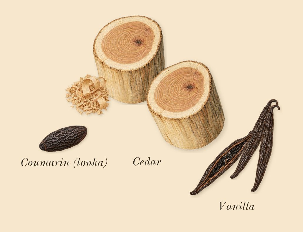 Cosmic Kylie Jenner, dry-down: Vanilla, Cedar, Coumarin (tonka)