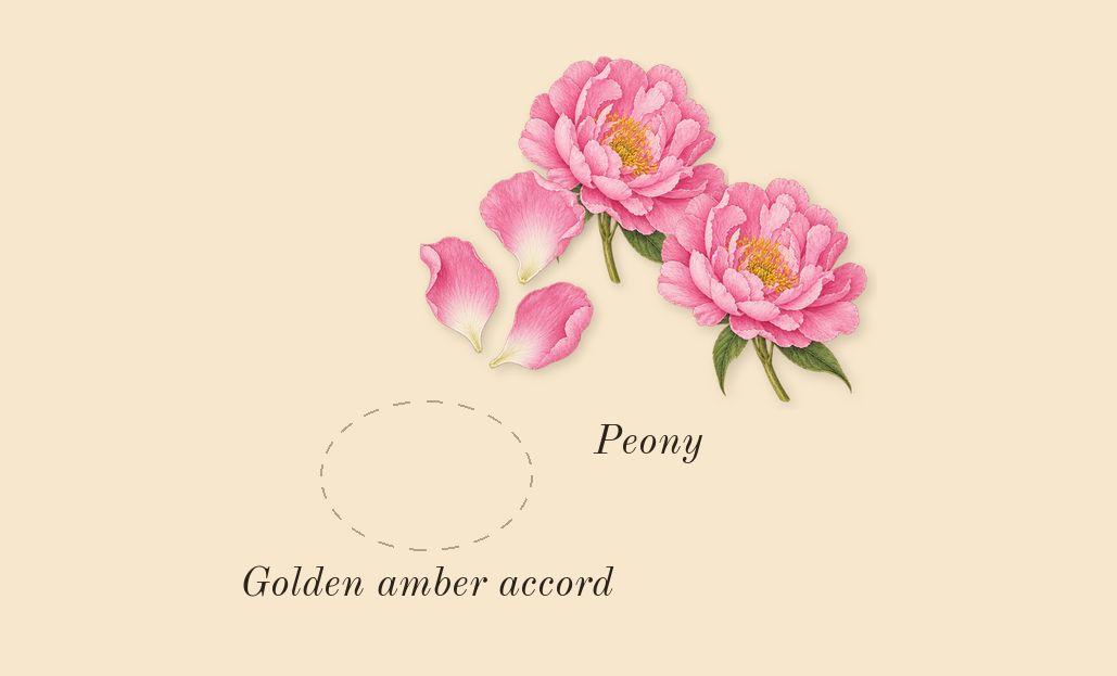 Cosmic Kylie Jenner, heart: Golden amber accord, Peony