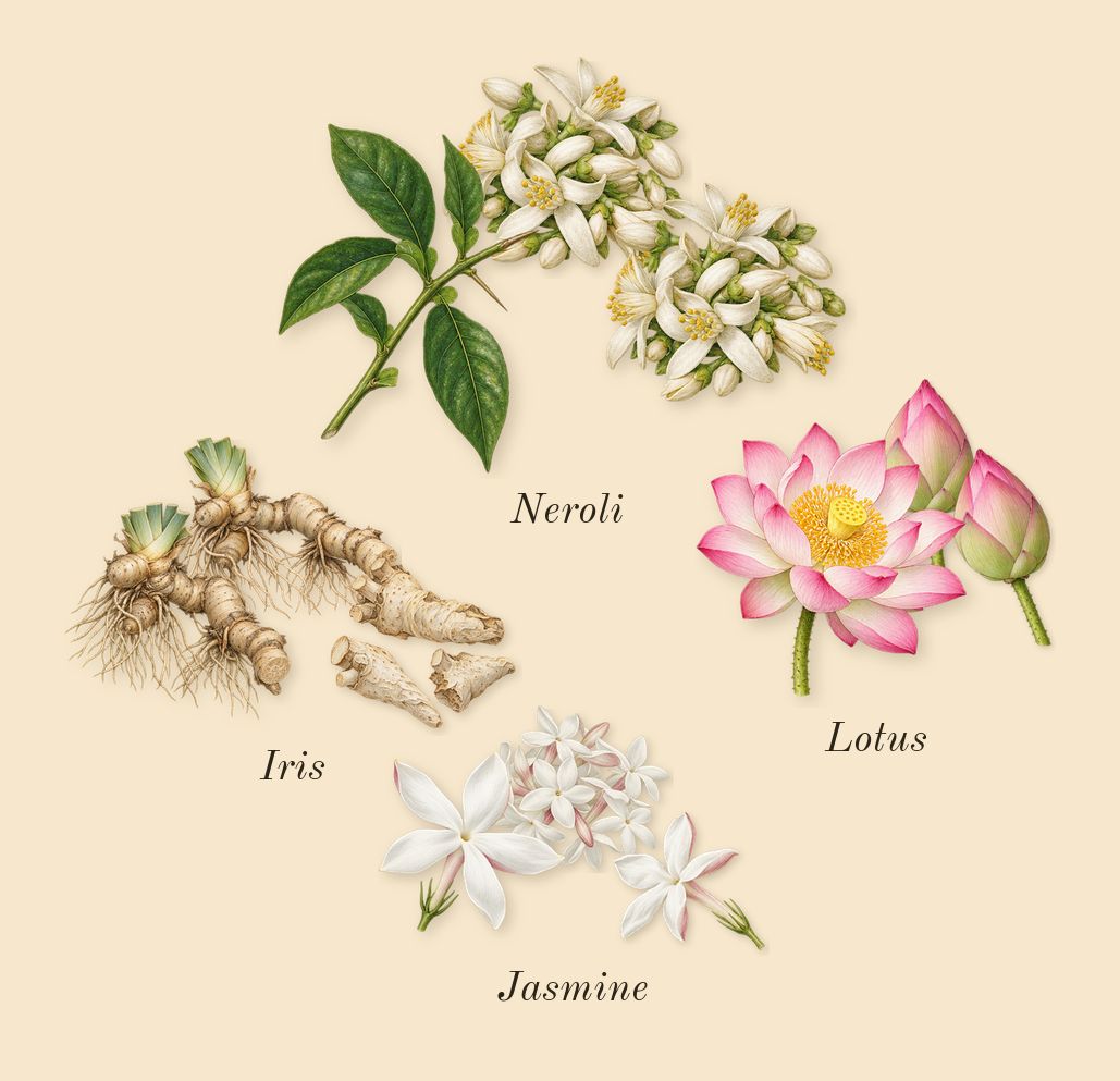 11 11 Azure, heart: Lotus, Iris, Jasmine, Neroli