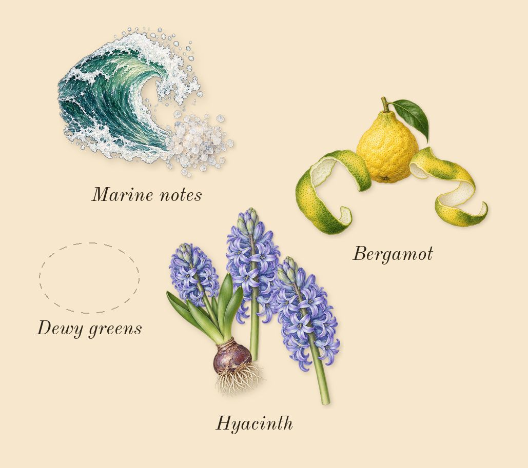 11 11 Azure, top notes: Marine notes, Hyacinth, Bergamot, Dewy greens