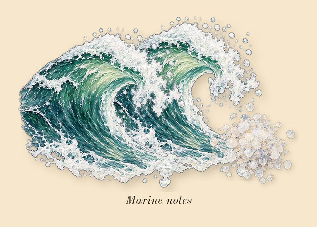 11 11, top notes: Marine notes