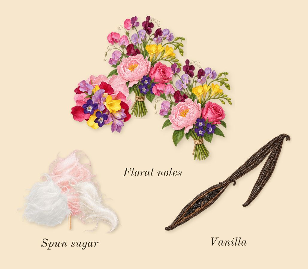 11 11 Vanilla, heart: Vanilla, Spun sugar, Floral notes