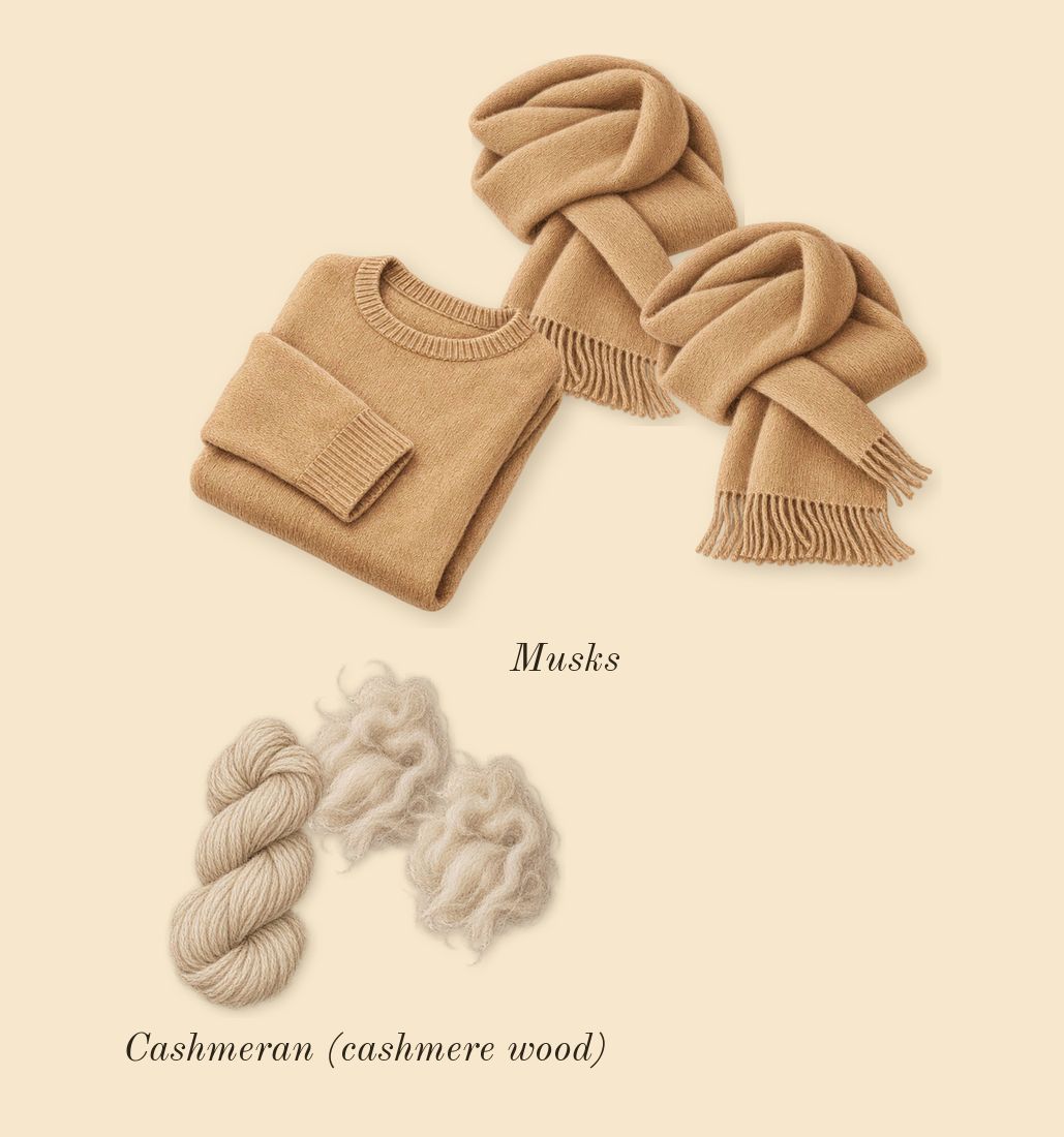 Encre Noire, dry-down: Cashmeran (cashmere wood), Musks