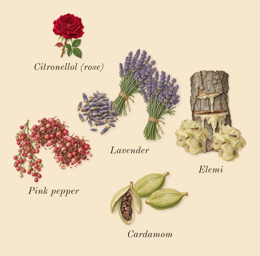 White in Black, heart: Cardamom, Pink pepper, Elemi, Lavender, Citronellol (rose)