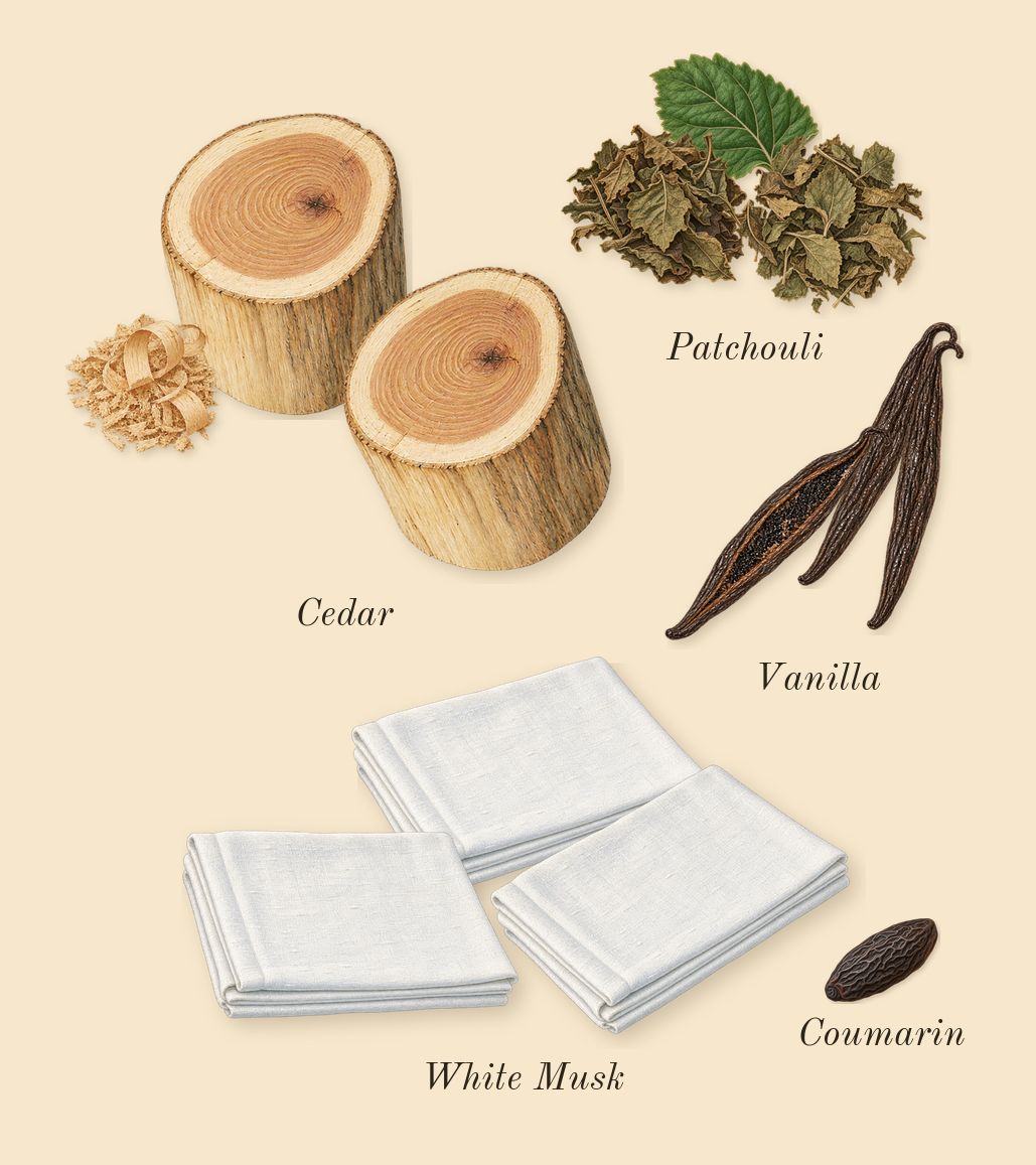 Idôle, dry-down: White Musk, Vanilla, Patchouli, Cedar, Coumarin