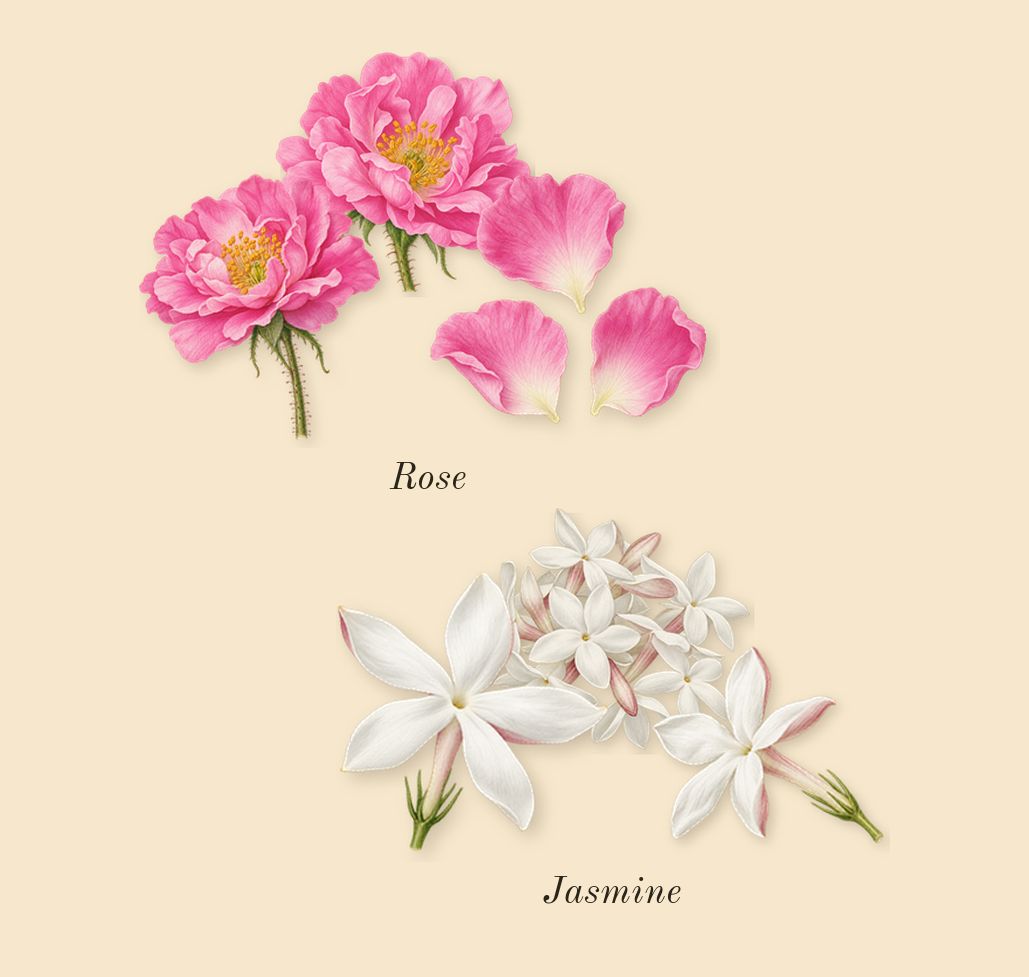 Idôle, heart: Rose, Jasmine