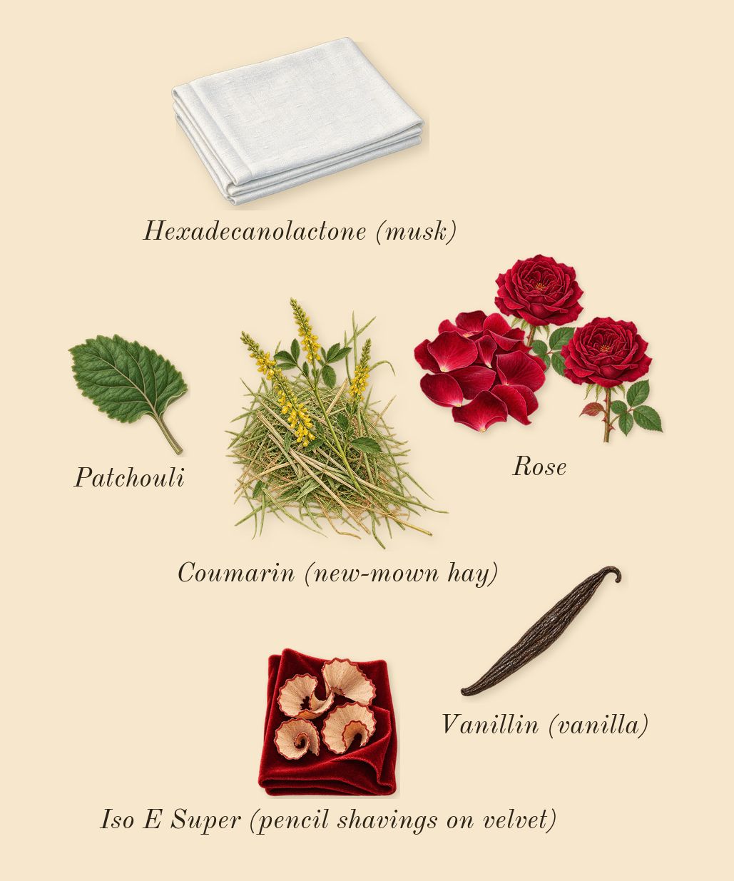 Idôle Peach 'N Roses, dry-down: Rose, Patchouli, Iso E Super (pencil shavings on velvet), Vanillin (vanilla), Coumarin (new-mown hay), Hexadecanolactone (musk)