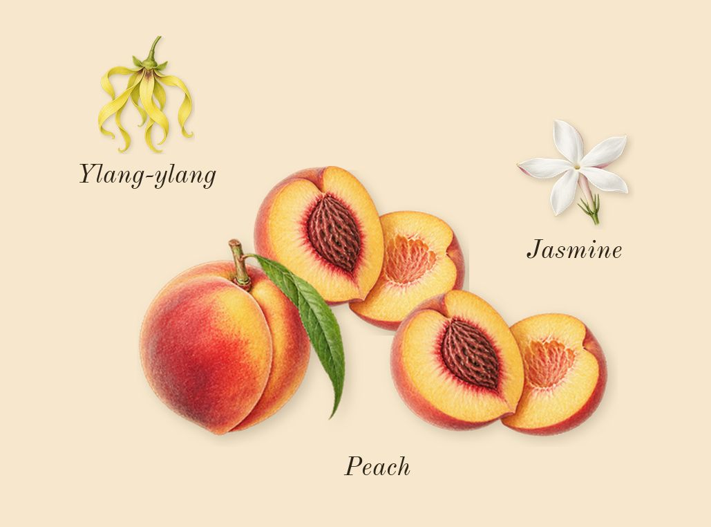 Idôle Peach 'N Roses, heart: Peach, Ylang-ylang, Jasmine