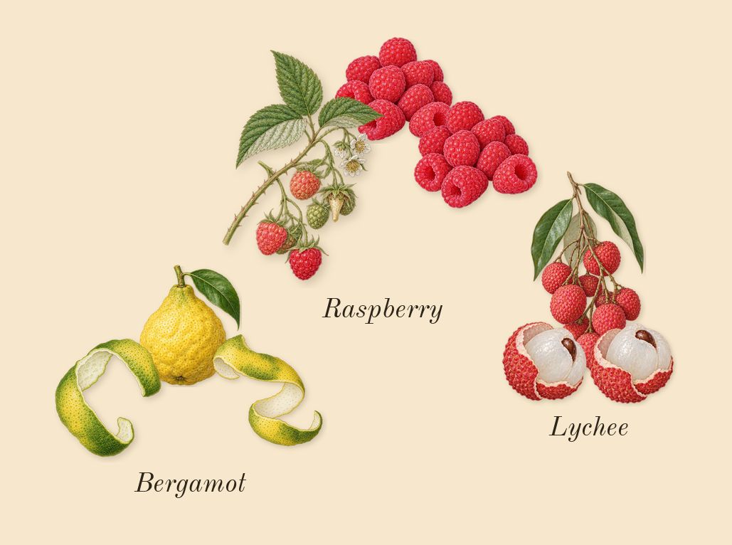 La Nuit Trésor, top notes: Raspberry, Lychee, Bergamot