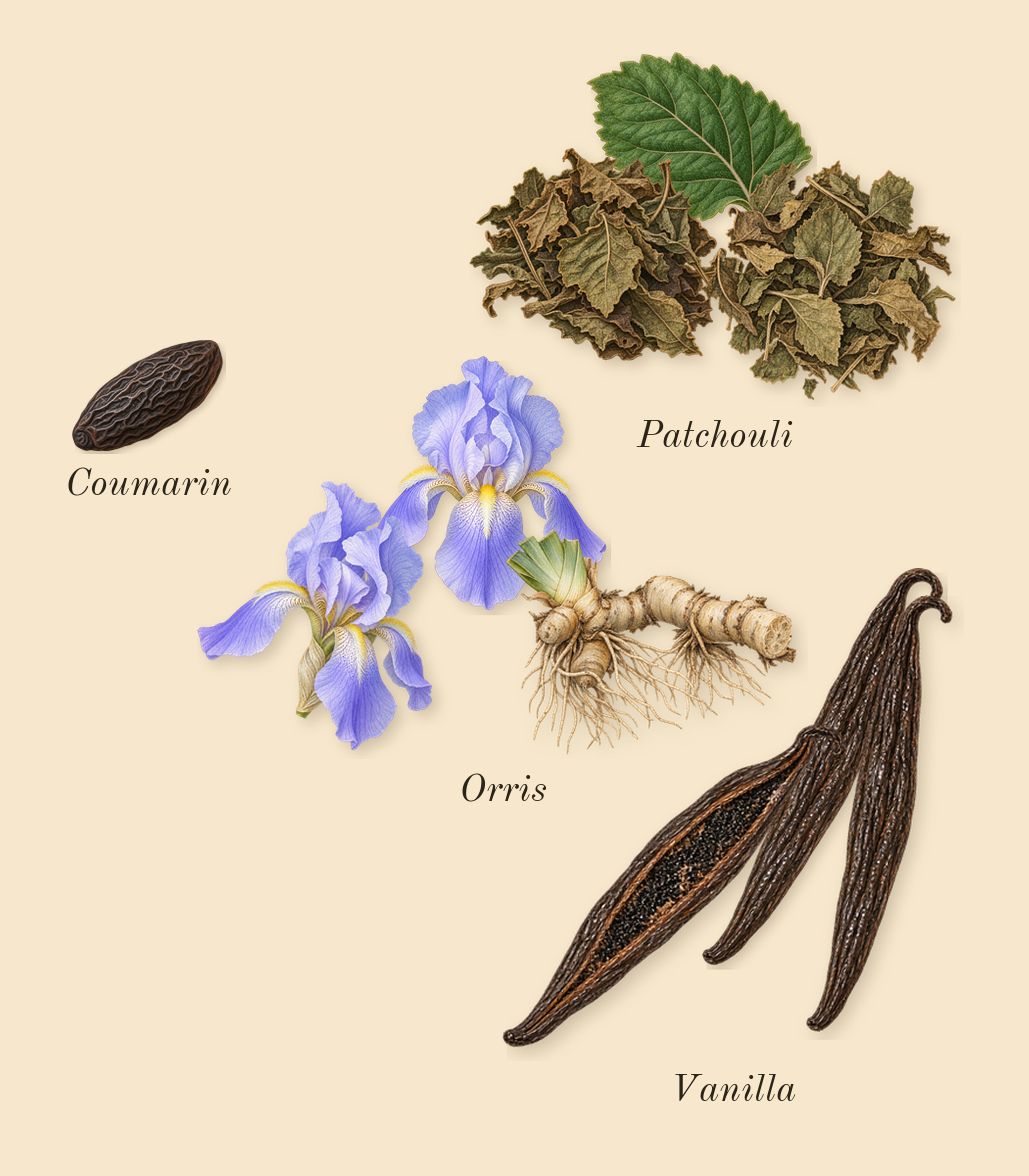 La Vie Est Belle, dry-down: Orris, Patchouli, Vanilla, Coumarin