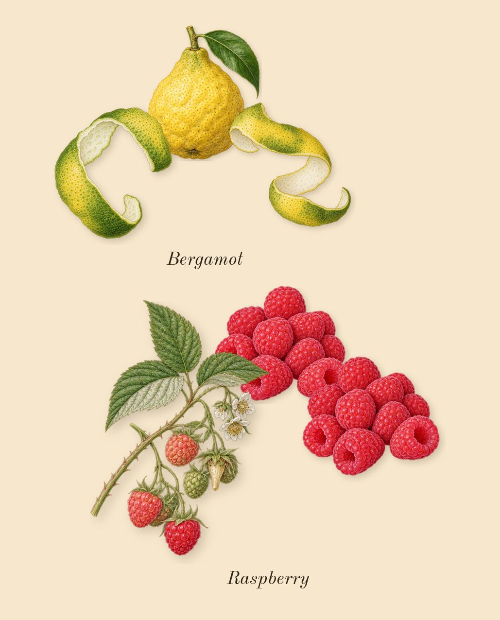 La Vie Est Belle L'Elixir, top notes: Raspberry, Bergamot