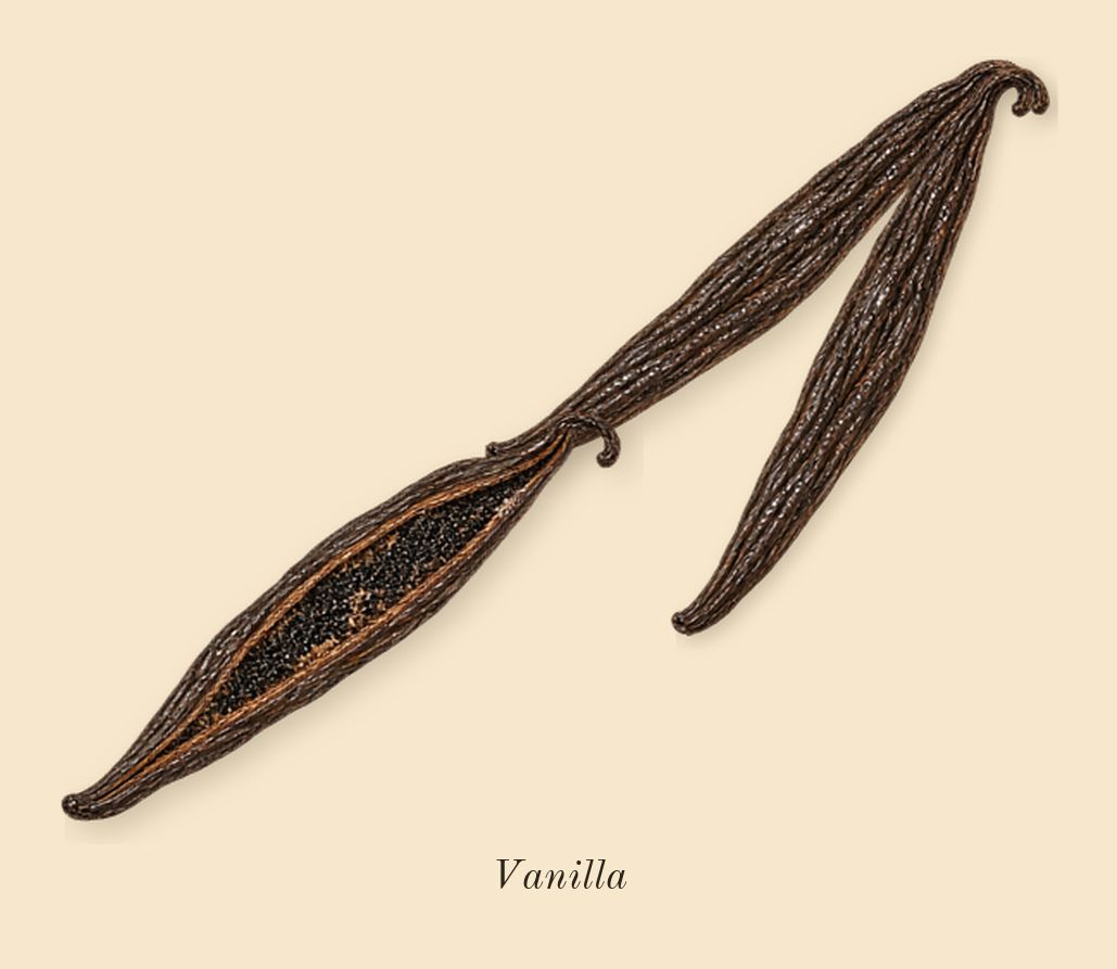 La Vie Est Belle Vanille Nude, heart: Vanilla