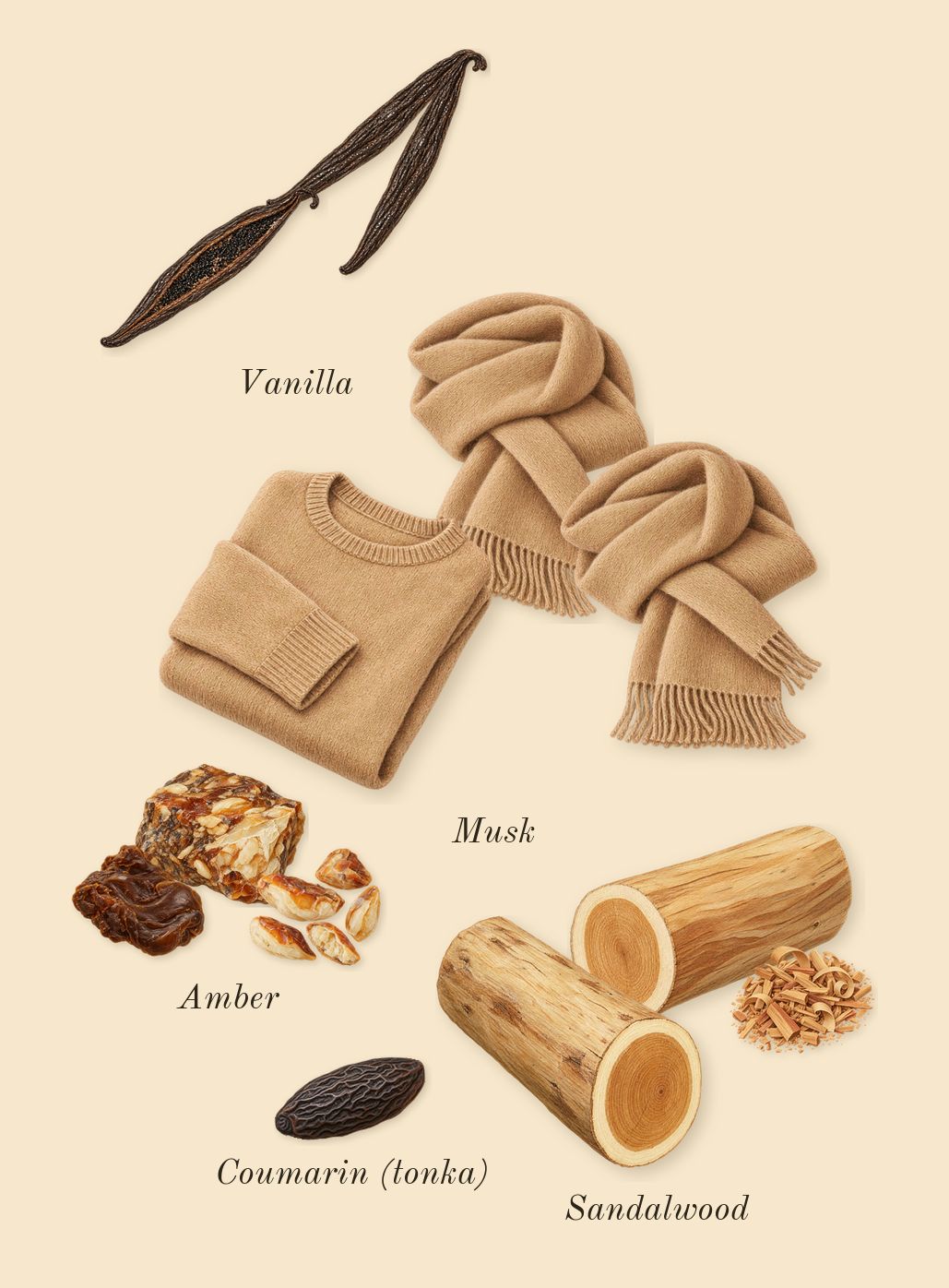 Trésor, dry-down: Amber, Sandalwood, Musk, Vanilla, Coumarin (tonka)